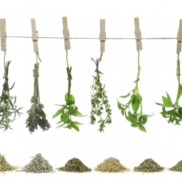Au comptoir du jardinier vous propose un guide d'utilisation des aromatiques.